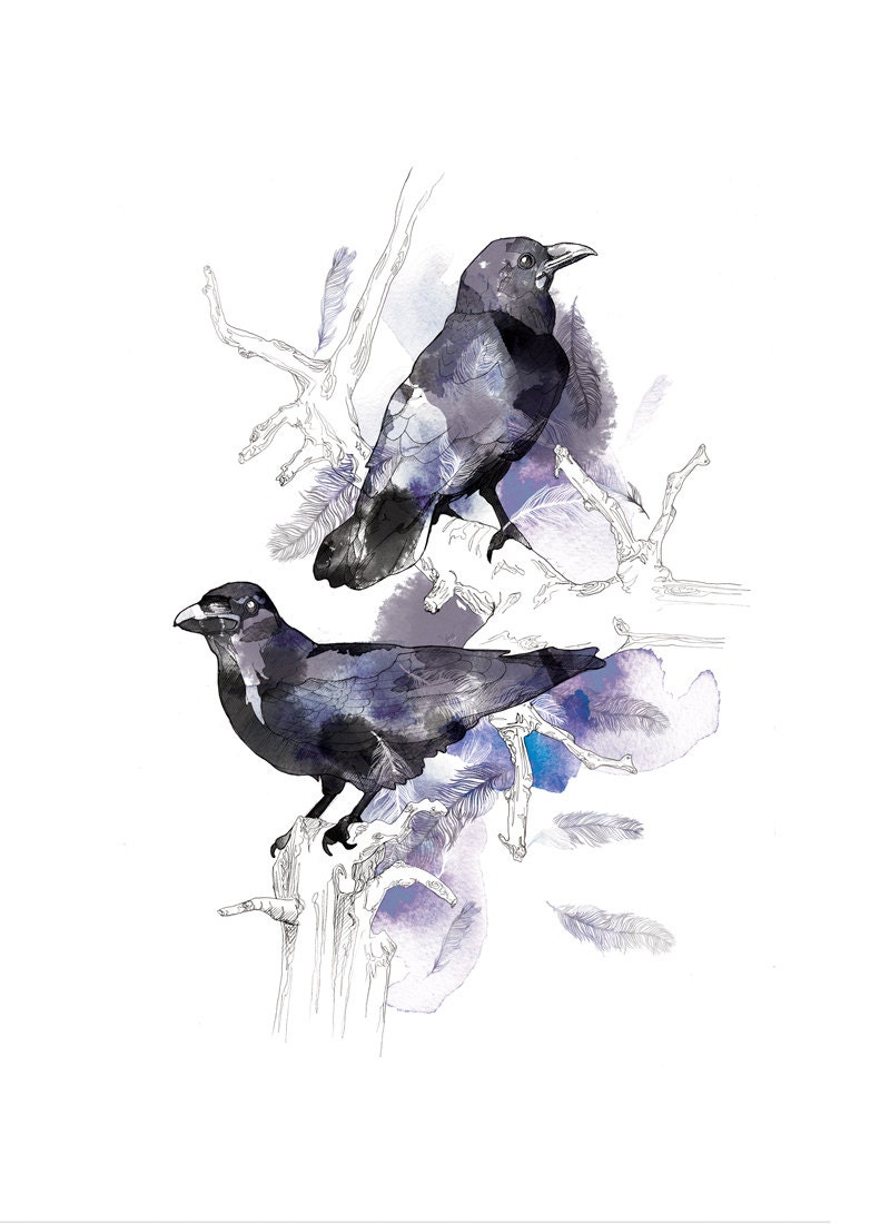 Watercolour Ravens // A3plus // 19x13 Print
