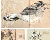 Set of prints - 5 x 7
