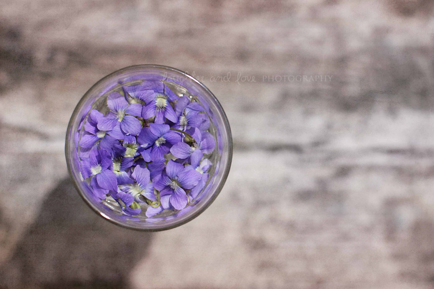 Violets 8x10 Fine Art Photography Shabby Chic Purple Lavender Grey Flower Circle Minimalist Spring Cottage Home Decor Wall Art