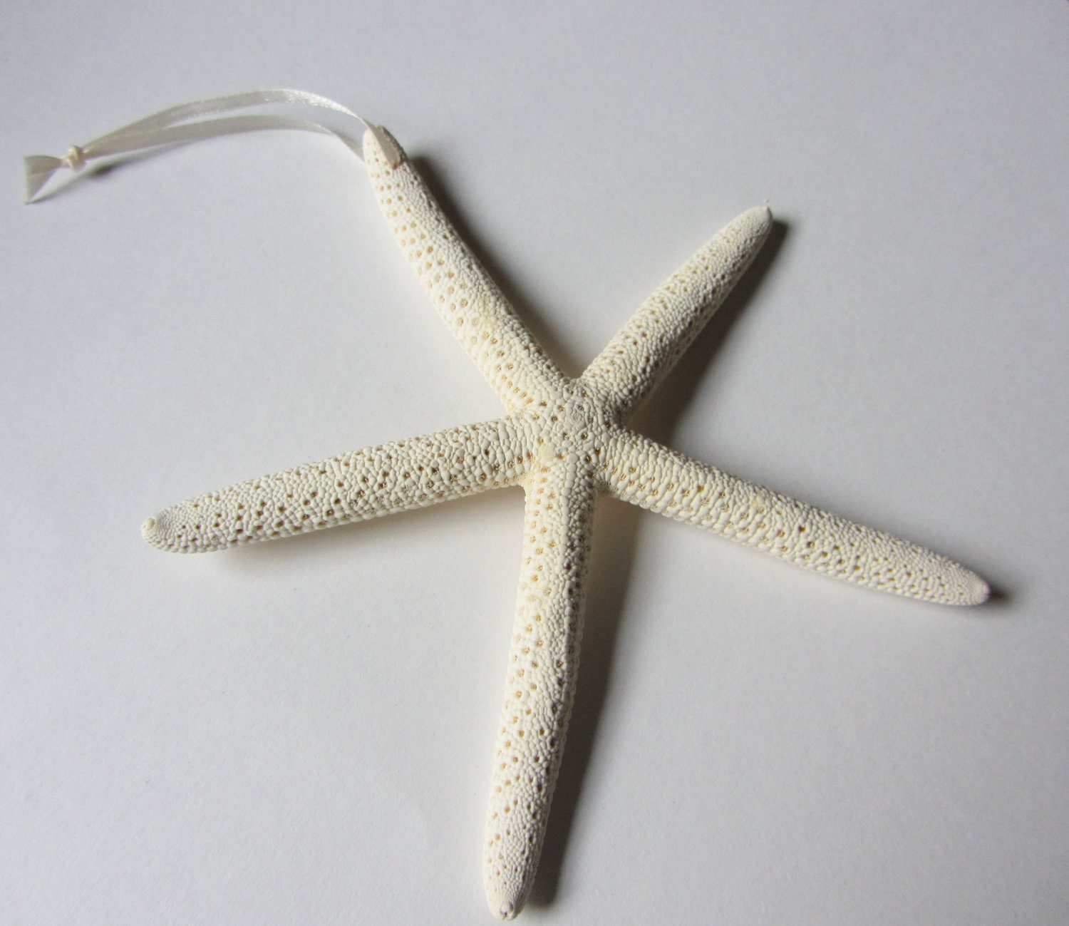 Starfish Ornaments- Set of 3  Natural Ornaments