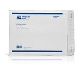 Upgrade to Express Mail Shipping within the US