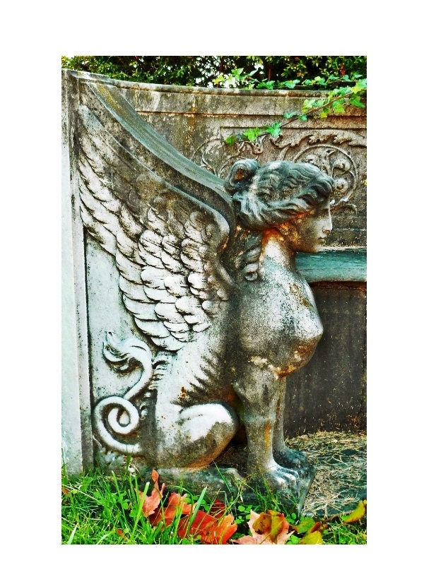 Gothic Victorian Fine Art, Metamorphosis, Dark Art Griffin Print, Virginia Cemetery Art, 5x7 Fine Art Print
