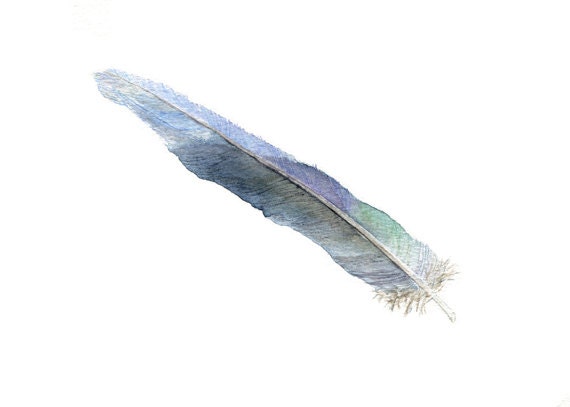 Feather Art Print of Watercolor Painting - Blue, Green, Purple, Gray, Turquoise, Bird, Australian Parrot, Watercolour