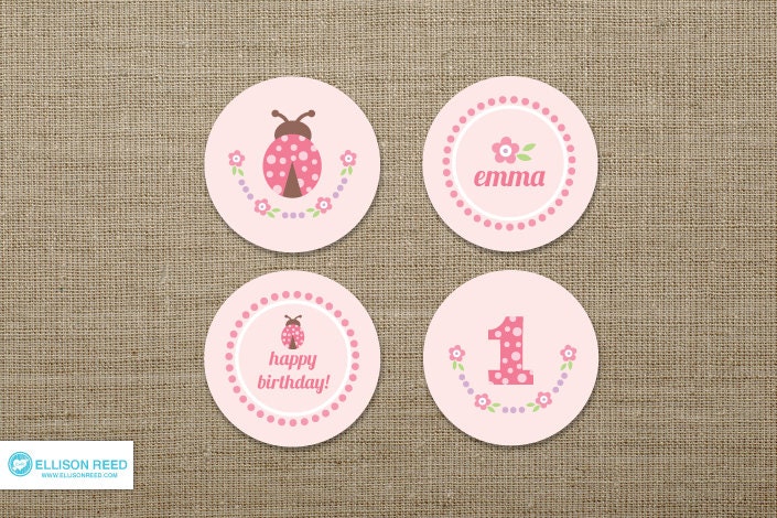Pink Ladybug Printable - Ladybug Cupcake Toppers - Ladybug Birthday - First Birthday - bug - flowers - Pink - polka dots Il_570xn