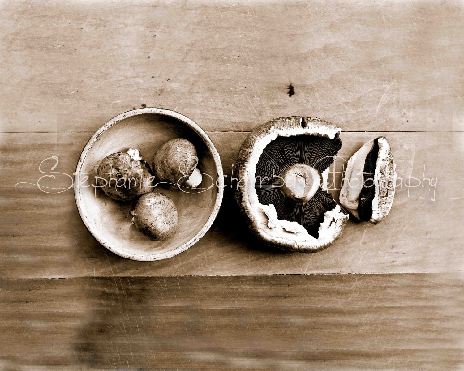 16x20 Sepia Toned Print : Portabello Mushrooms