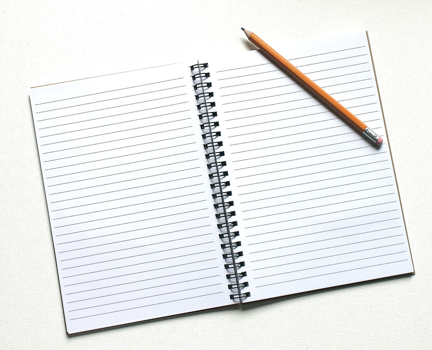 funny notebook Nefarious Ideas journal