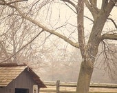 Sheep Nature Photography - Should I Stay or Should I Go Now Fine Art Photo 8x12 Photo - Farm Animal