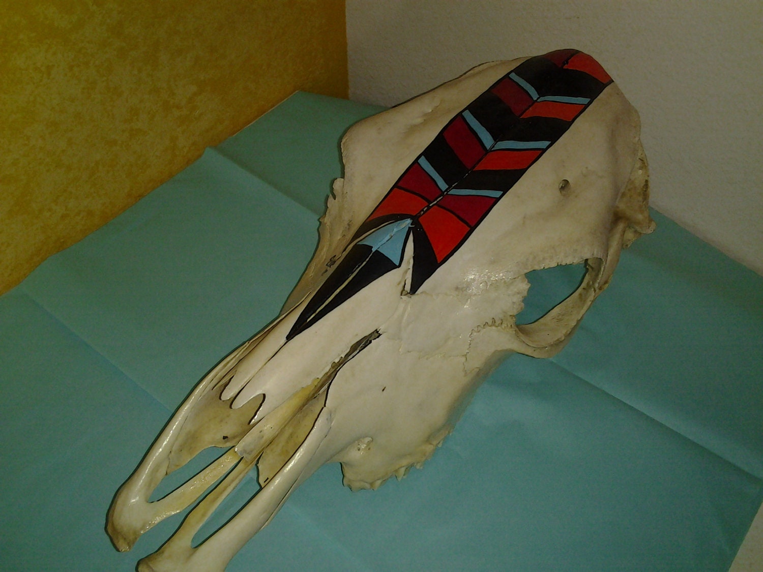 Steer Skull with Handpainted Indian Artwork