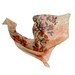 Pomegranate brunch hand painted silk scarf. Garnet and salmon, orange and coral silk scarf. Ready to ship.