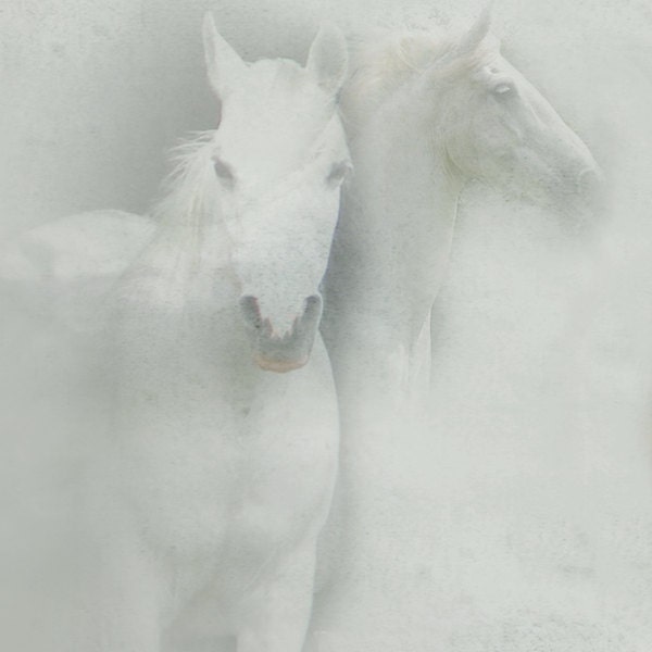 white horse print