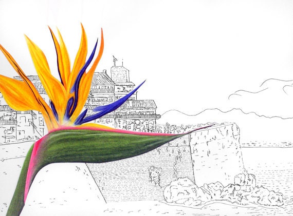 Mixed Media Drawing - "Picasso Chose Well"