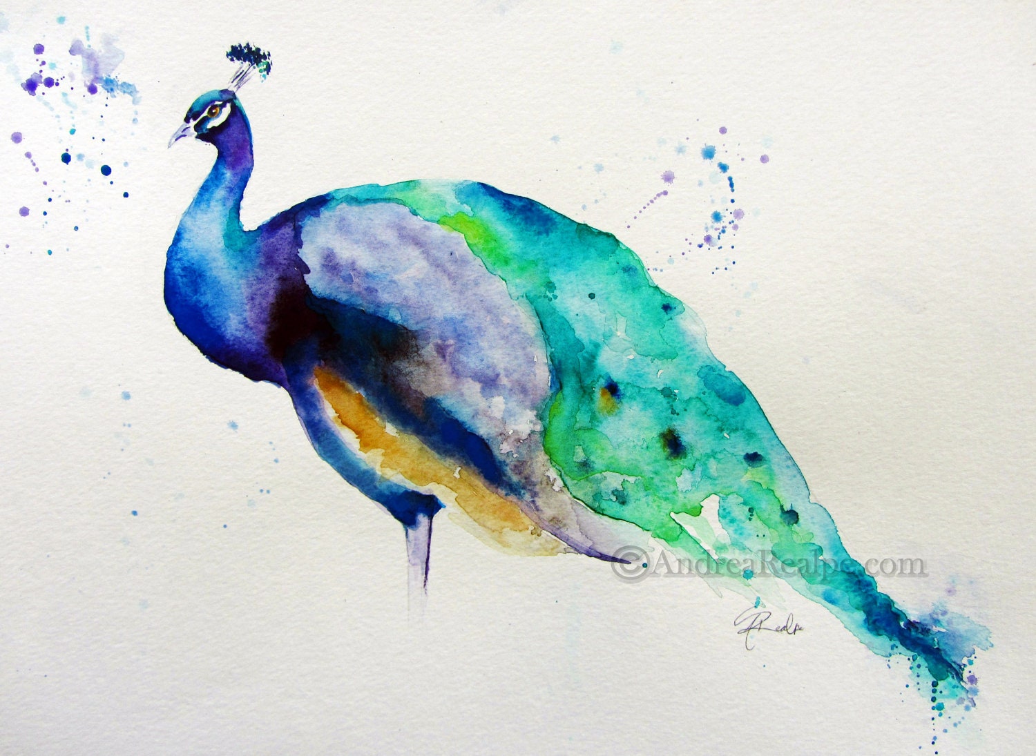 Peacock - Home Decor  - 8.5 x 11 Giclee Print - Peacock Watercolor Print