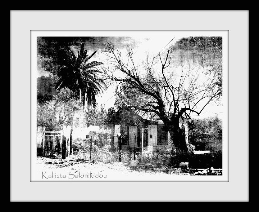 eerie black and white landscape photography