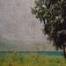 landscape photography poplar tree green yellow coastal field photo
