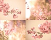 Floral branches Set of 4 prints 8x12 50% OFF pink salmon Floral wall decor Peach wall art