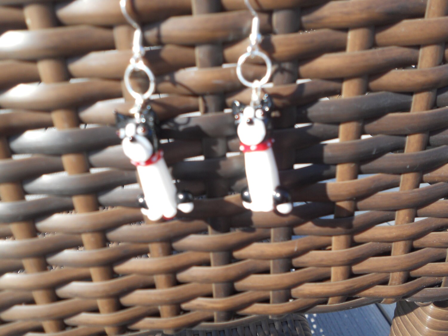 Boston Terrier Mascot