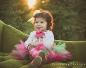 3 Piece Tutu Skirt Onesie and Headband Set,Tulle Tutu Skirt, Appliqued Ballerina Onesie, 3 Piece Birthday Outfit, Photography Prop