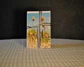 Simple Cattail Cards Pack of 10