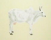 Art For Nursery, Limited Edition Print of Acrylic Original - white cow, cow art, art for children's room, farm theme, rustic, cattle