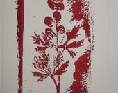 Monkshood - Aconitum Napellus - hand-pulled linocut