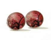 Tree Photo Post Earrings - 12mm Red Circle Studs -Original Photo Art Jewelry - Hypoallergenic - Fake Plugs