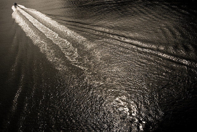 Boat photography, boating artwork, nautical art monochrome photo, motorboat and wake, beach house decor. 8x10 fine art photo