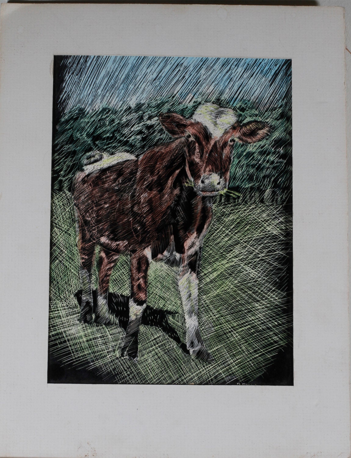 Cow Etching / Cow Scratch Art