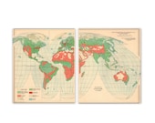 Vintage 1940s World Economic Map. Set of 2. 8" x 20". Ready to Frame. . (No. 271)