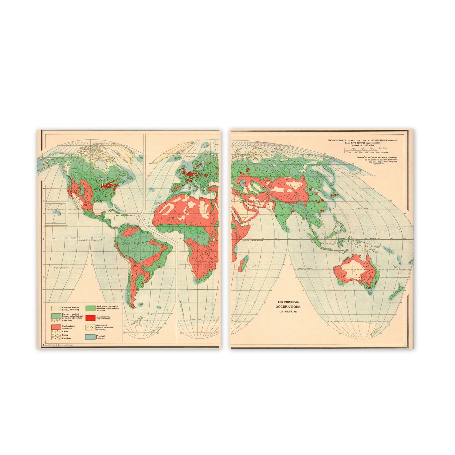 Vintage 1940s World Economic Map. Set of 2. 8" x 20". Ready to Frame. . (No. 271)