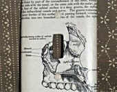 The Jawbone decoupaged onto a light switch cover