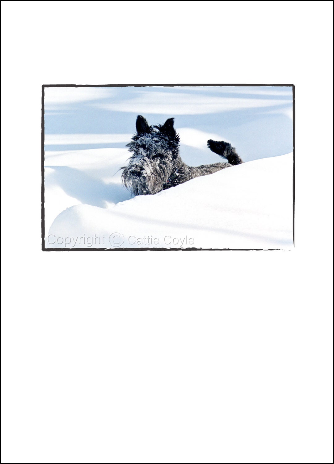Scottie Dog Christmas (or Anytime) Greeting Card