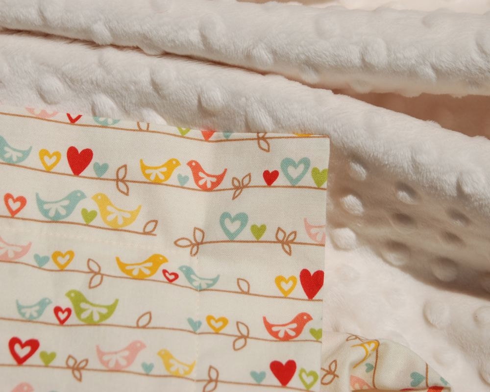 Baby Girl Minky Blanket - Little Love Birds with Cream Minky for your Baby Girl - Ready to Ship