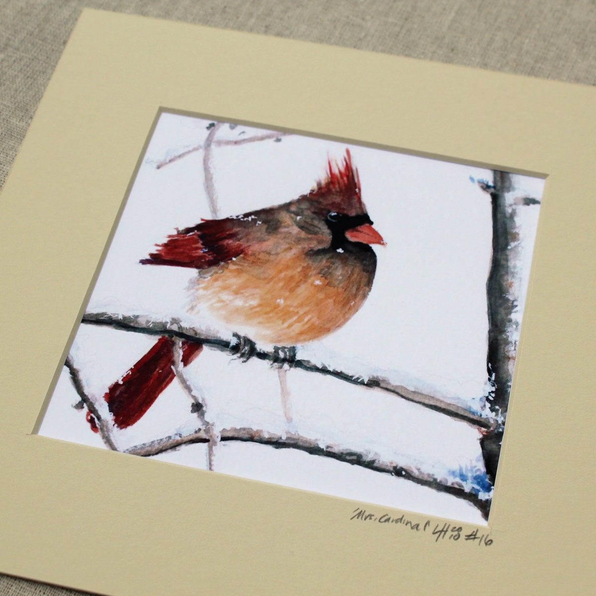 watercolor cardinal print- Mrs Cardinal- 5x5 matted to 8x8