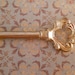 The Parisian Skeleton Key