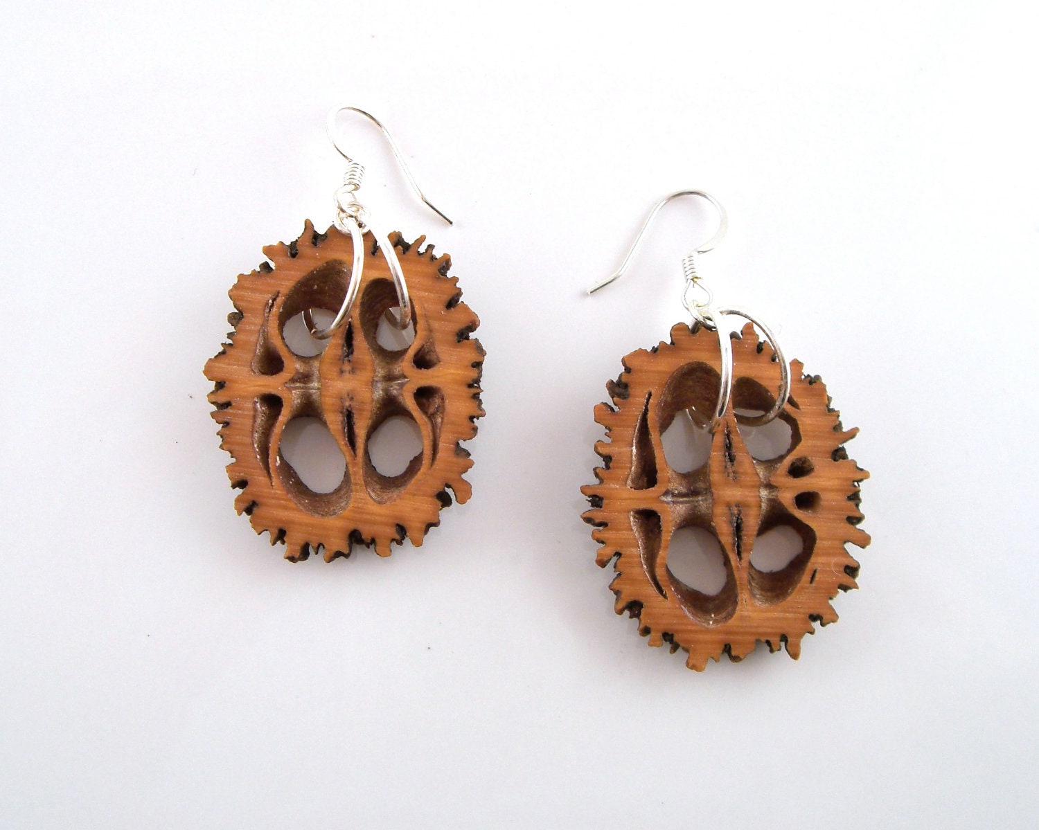 Black Walnut Shell Earrings