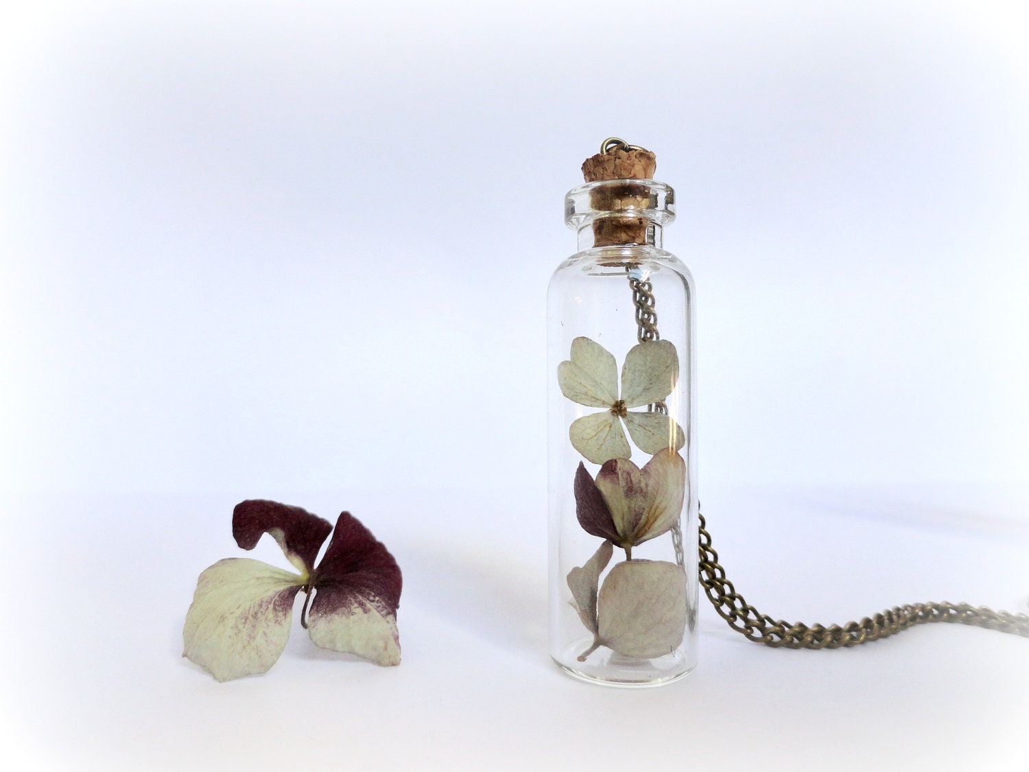 Hydrangea Vial necklace- curiosity bottle- Real dried preserved flower-Botanical Specimen,glass vial.Gardener gift under 20 30