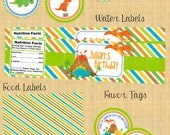 Dinosaur Party Package- Printable Il_170x135