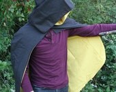 Arkham City  Robin Cape
