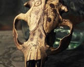 The Unseen Pattern -- beaver spirit skull - alchemy art curio painted skull - SylvaPagana