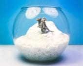 Luke Skywalker on Tauntaun - Planet Hoth Terrarium / Diorama - Empire Strikes Back