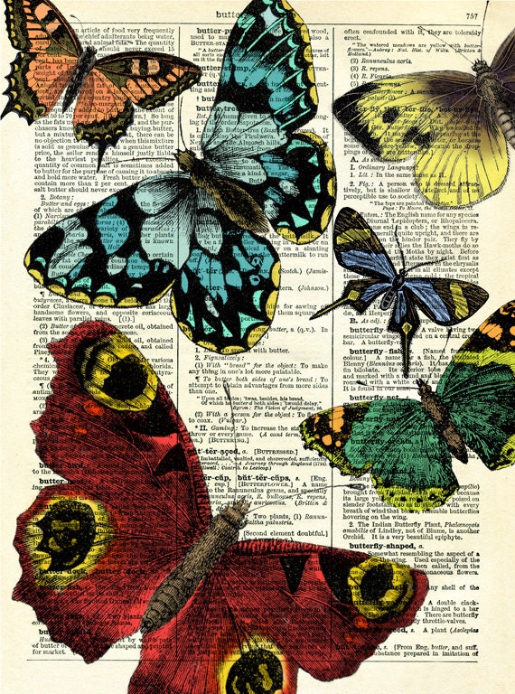 Selection of Butterflies - Digital Print
