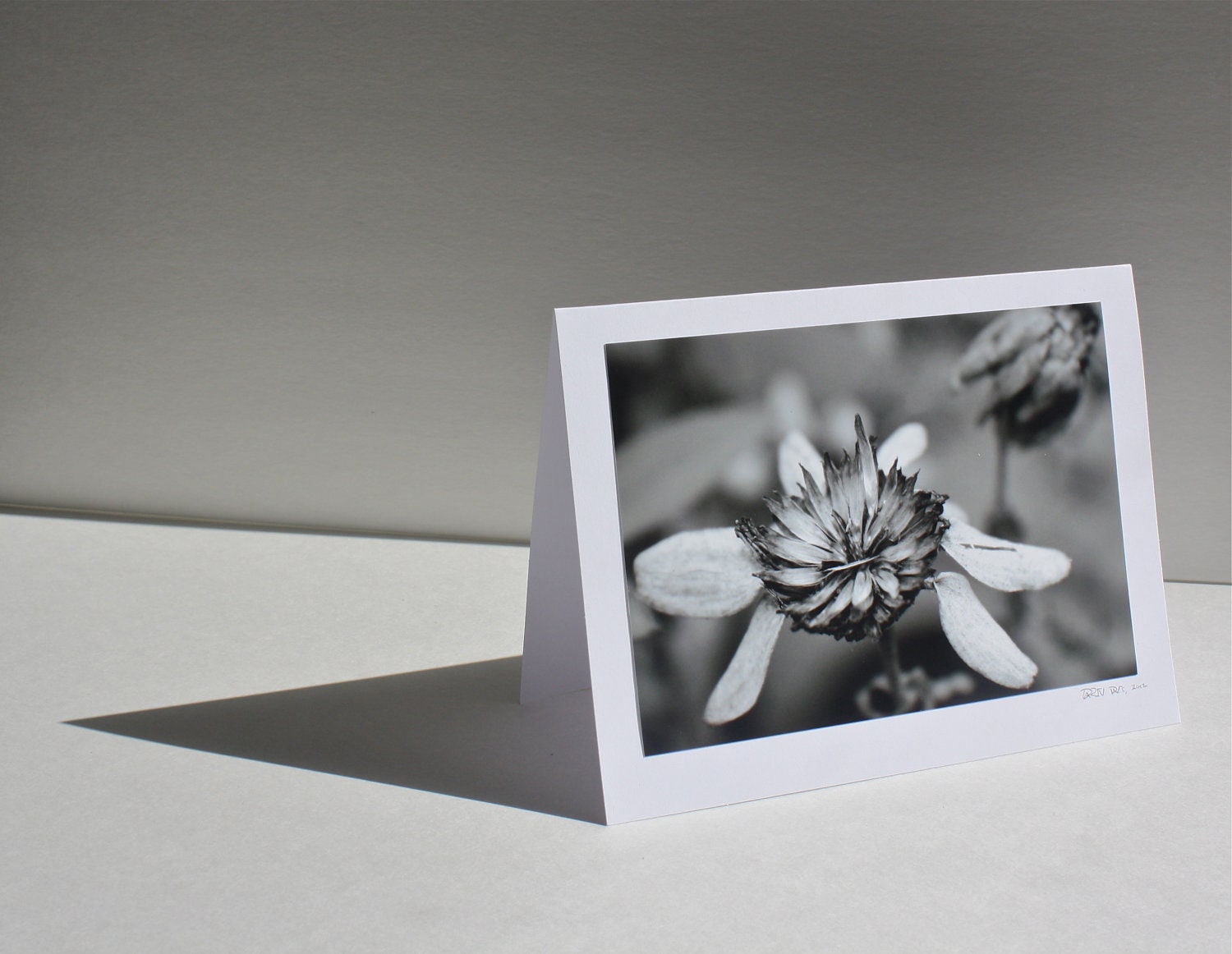 Wanderlust Greeting Card Series: Set of 3 Black and White Fine-Art Photo Cards, 5"x7", hand signed by artist. Blank Inside.