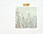 Spring Summer nature home decor cottage chic print - Green buds