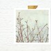 Spring Summer nature home decor cottage chic print - Green buds