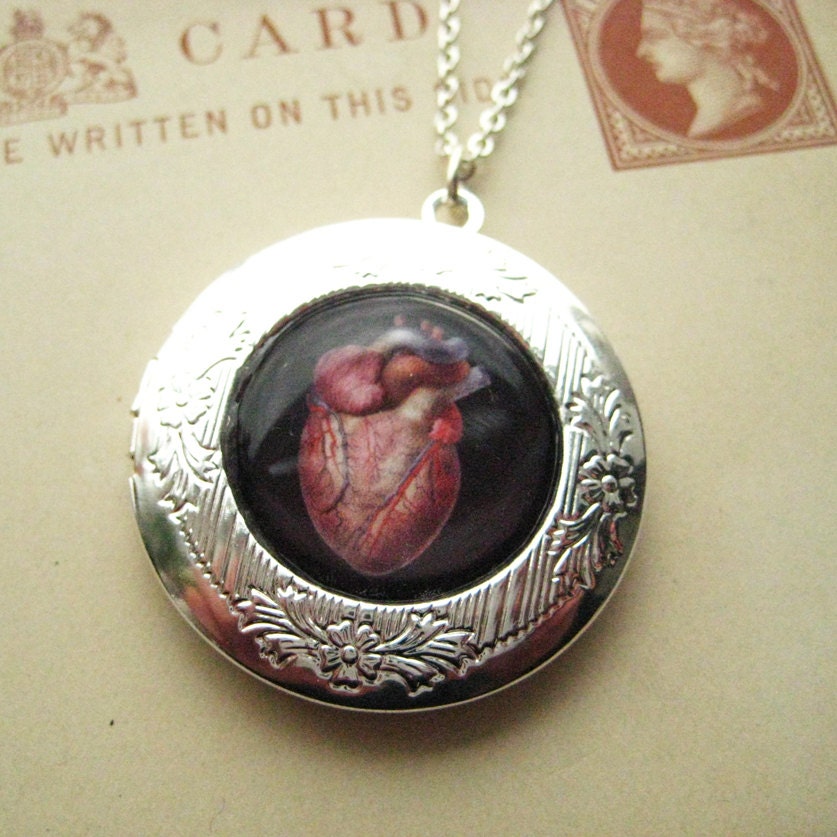 Anatomical Victorian Valentine Anatomy Heart Locket from Hoolala