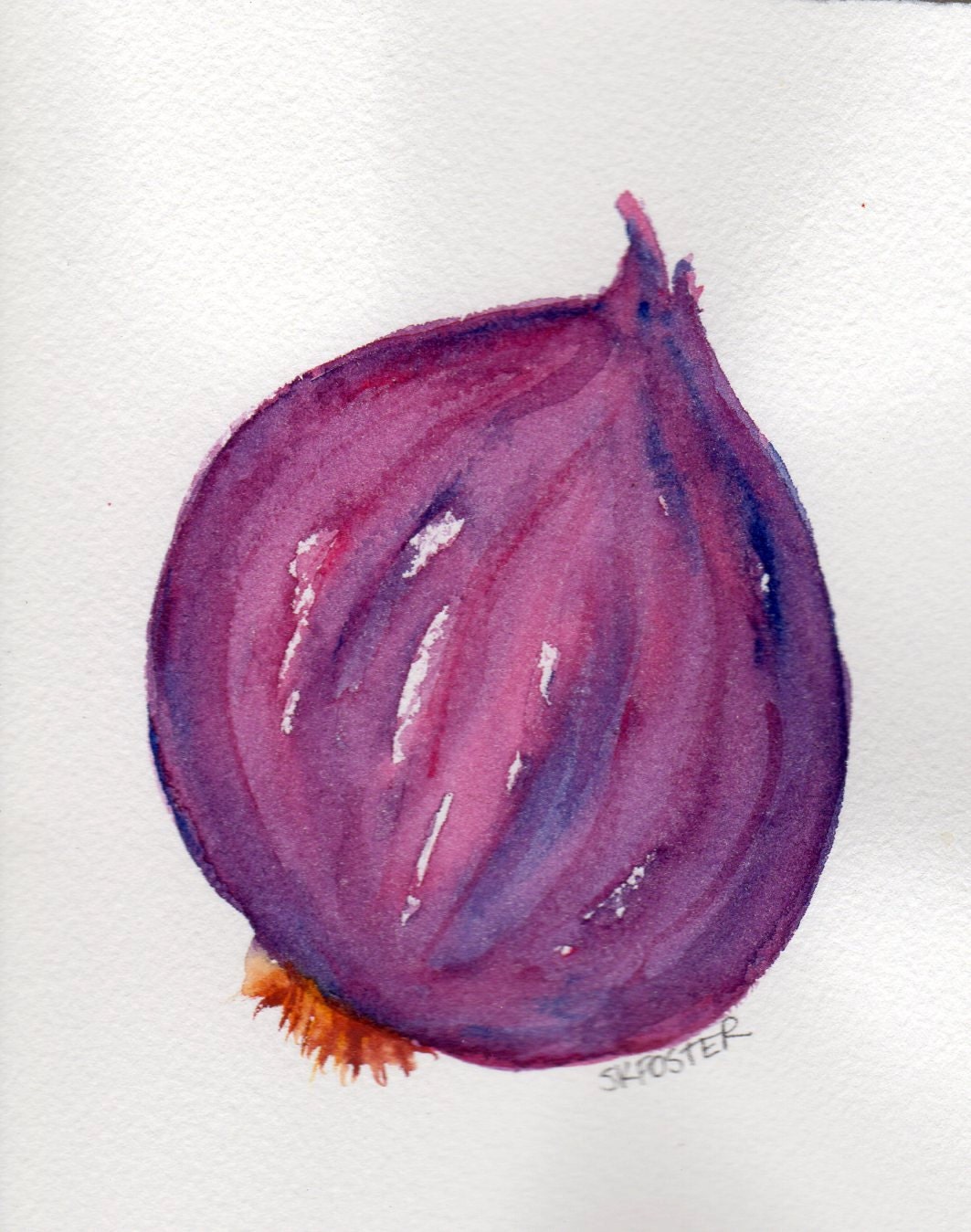 4 x 6 Original Purple Onion  Painting Watercolor Vegetable Series