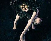 Special Edition Framed 8x10 Photograph - The Masquerade 2