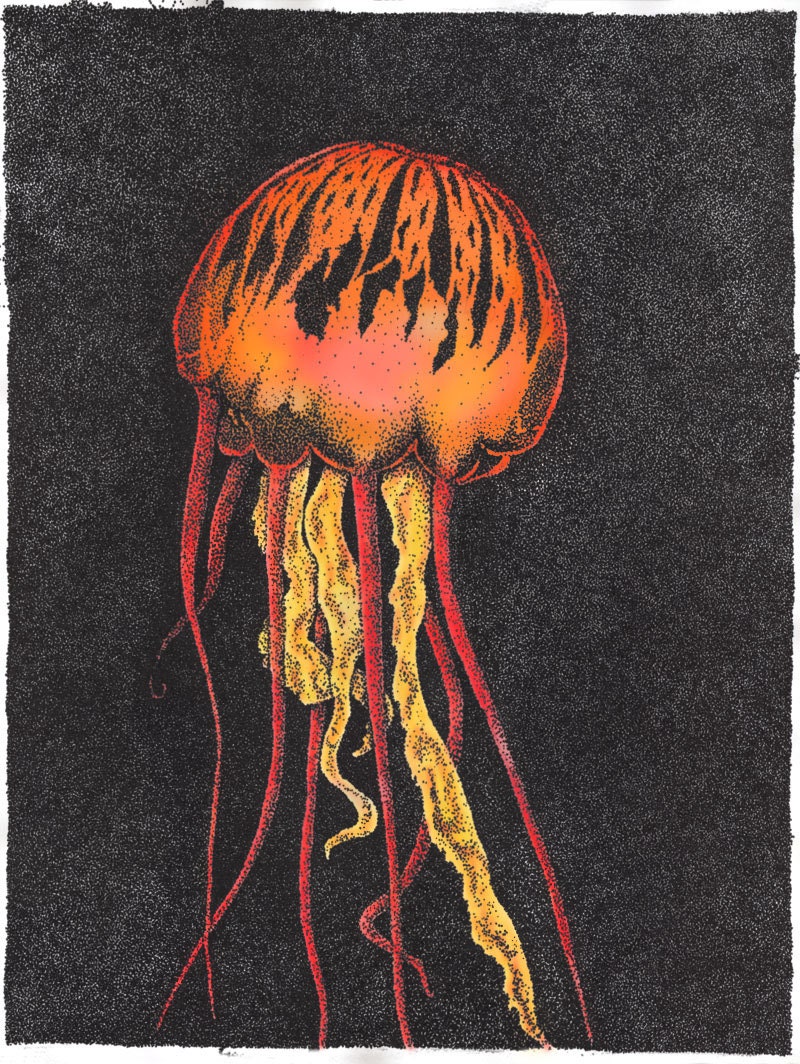 Print Jellyfish Orange 11x14  -Giclee Pointillism -