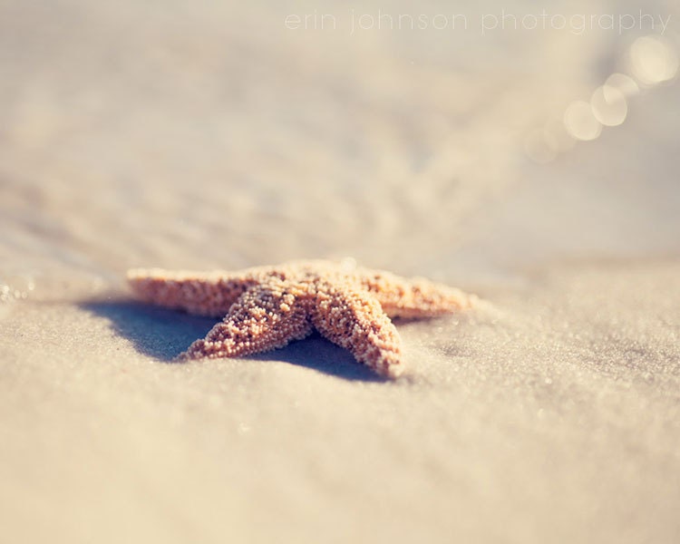 beach photography beige decor starfish art decor ocean photography fine art photograph wall art beach home decor Relaxing 8x10 - eireanneilis