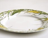 ready to ship - Desert Plate - Grass Fields Collection